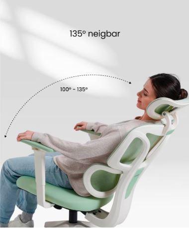 FLEXISPOT- Ergonomischer Bürostuhl