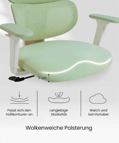 FLEXISPOT- Ergonomischer Bürostuhl