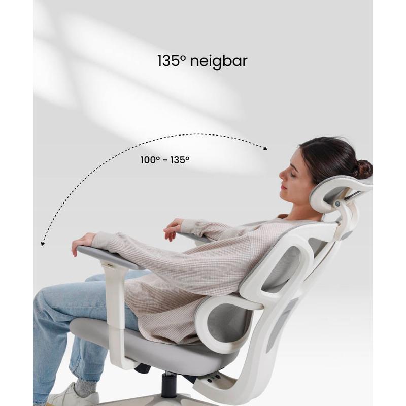 FLEXISPOT - Ergonomischer Bürostuhl