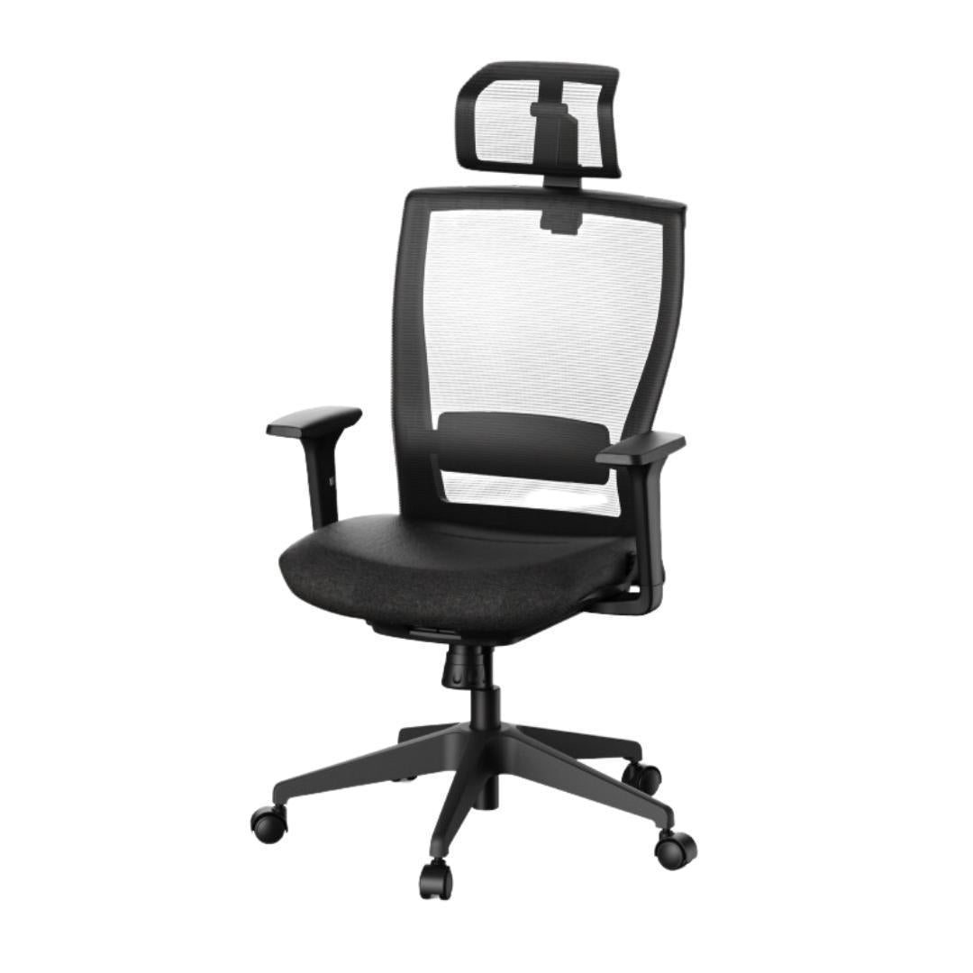FLEXISPOT - Ergonomischer Bürostuhl