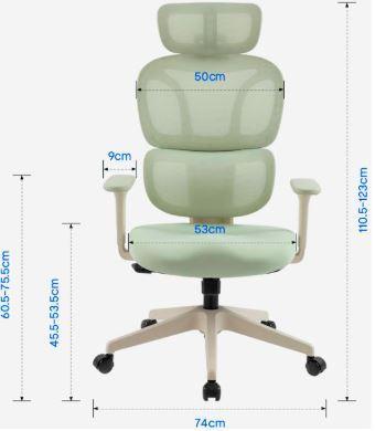FLEXISPOT- Ergonomischer Bürostuhl