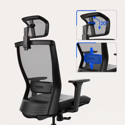 FLEXISPOT - Ergonomischer Bürostuhl