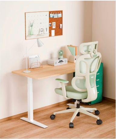 FLEXISPOT- Ergonomischer Bürostuhl