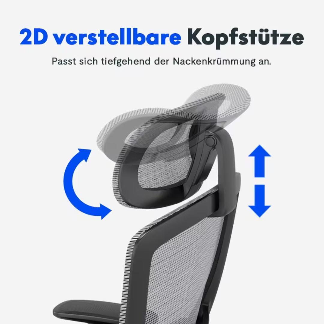 FLEXISPOT - Ergonomischer Bürostuhl