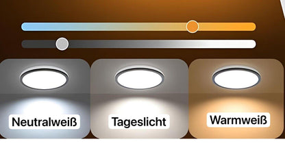 Ceiling - Deckenleuchte - 801-50-Y-9393 Schwarz