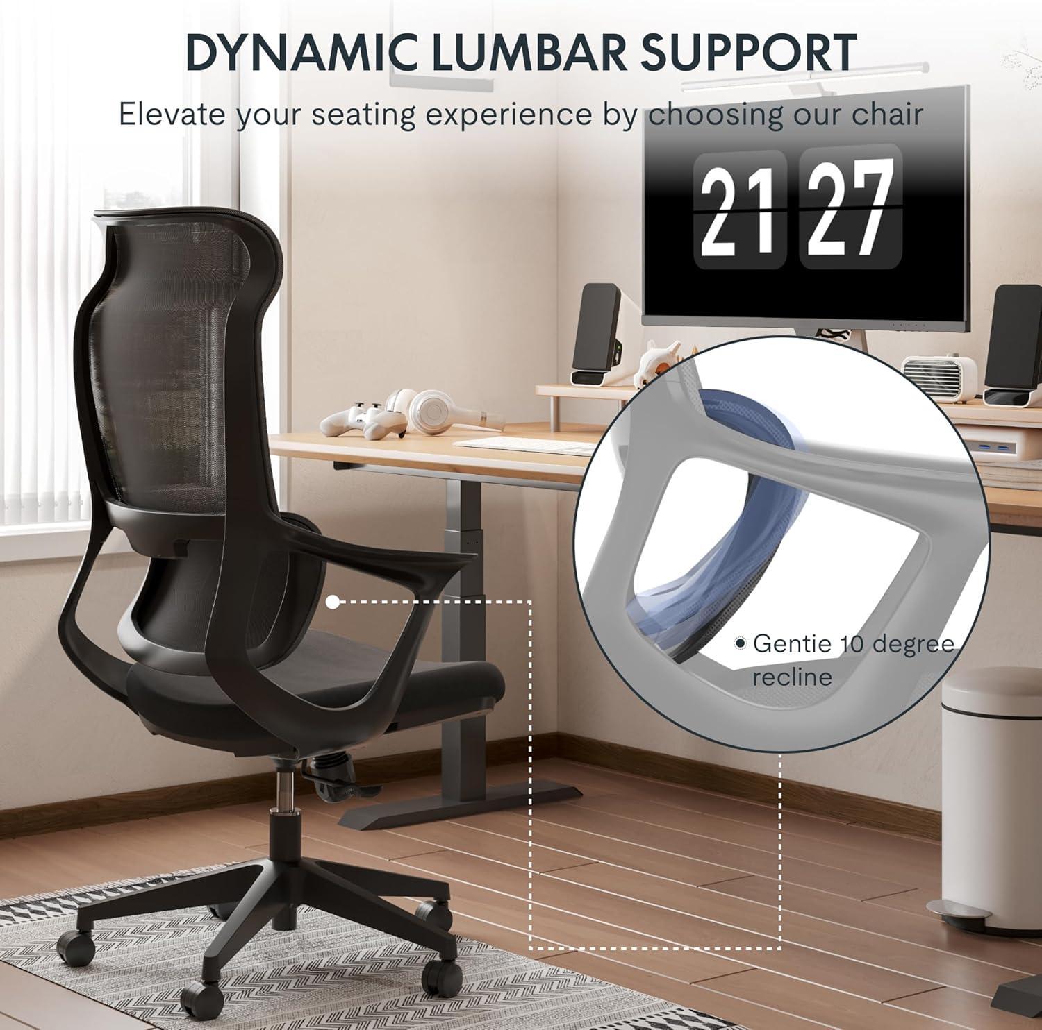 FLEXISPOT- Ergonomischer Bürostuhl