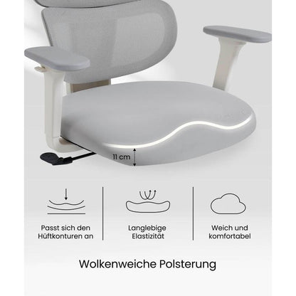 FLEXISPOT - Ergonomischer Bürostuhl