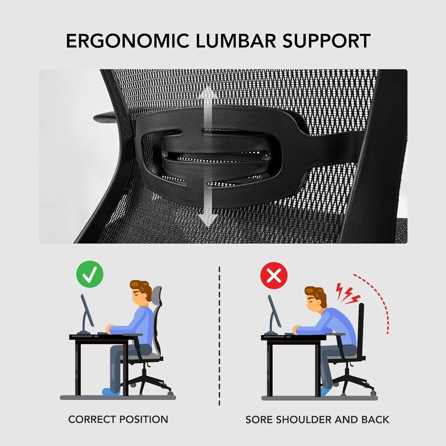 FLEXISPOT - Ergonomischer Bürostuhl