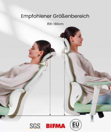 FLEXISPOT- Ergonomischer Bürostuhl