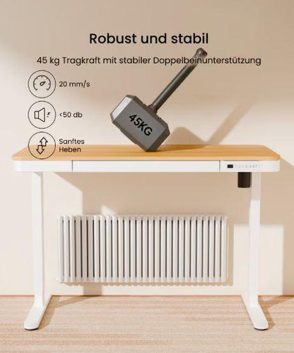 FLEXISPOT - Ergonomischer Sitz-Steh-Tisch