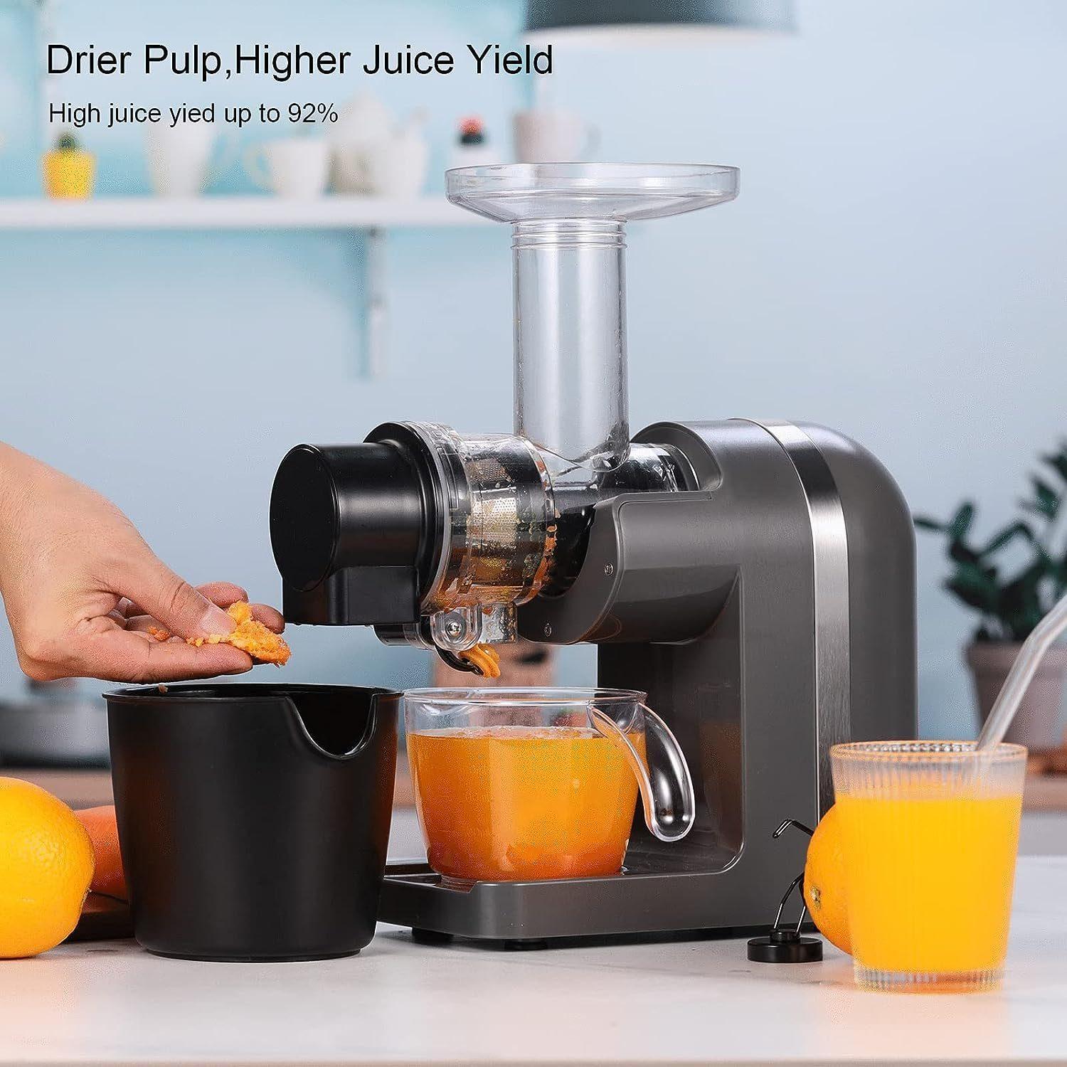 Greatfinds Slow Juicer - GS-107