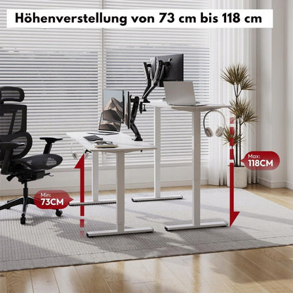 FLEXISPOT - Ergonomischer Sitz-Steh-Tisch