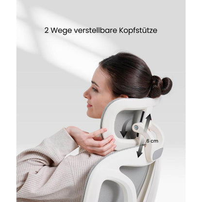 FLEXISPOT - Ergonomischer Bürostuhl