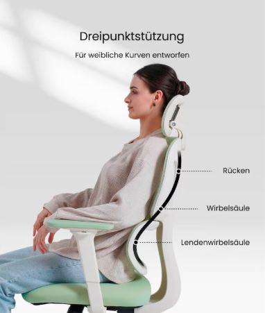 FLEXISPOT- Ergonomischer Bürostuhl