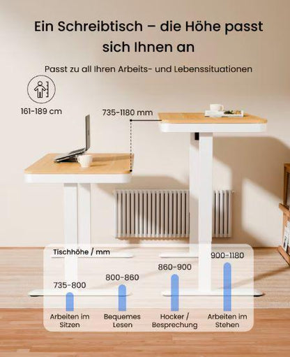 FLEXISPOT - Ergonomischer Sitz-Steh-Tisch