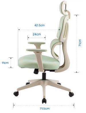 FLEXISPOT- Ergonomischer Bürostuhl