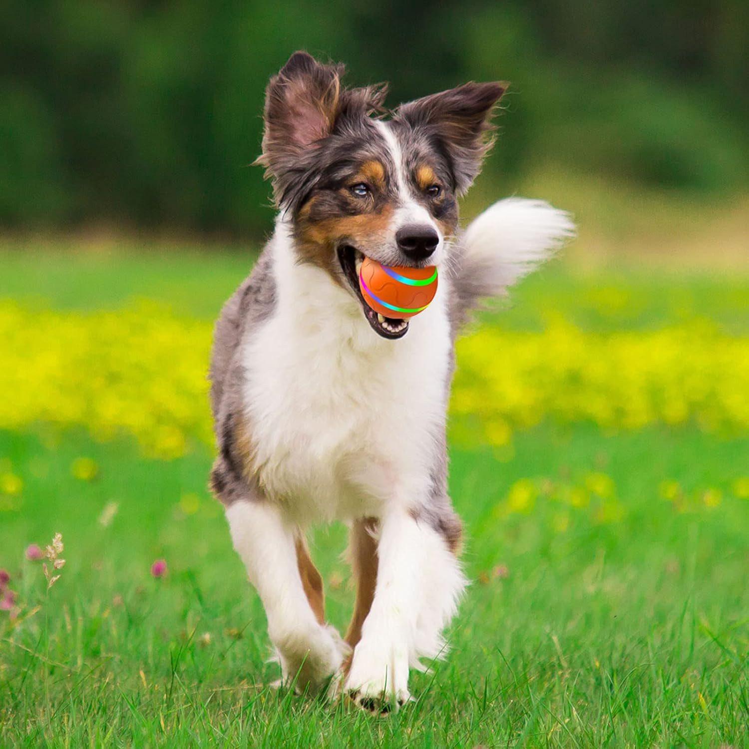 Auto Pet Toy - Ball - Rosa